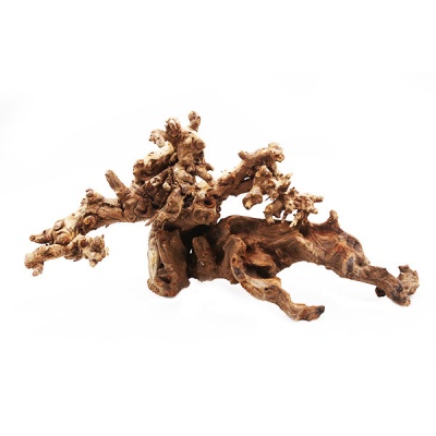 Коряга мангровая Natural color для аквариума PREMIUM MANGROVE ROOT, 20-40 см