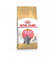 Royal Canin British Shorthair Kitten в зоомагазине Лепшы Сябар