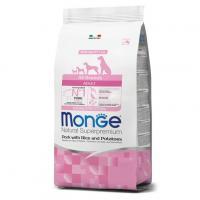 Monge Dog Speciality Adult All Breeds (свинина) в зоомагазине Лепшы Сябар