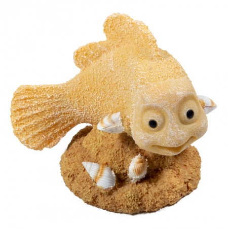 Laguna Грот Рыба-клоун в зоомагазине Лепшы Сябар